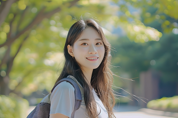 山西美术联考230分低吗