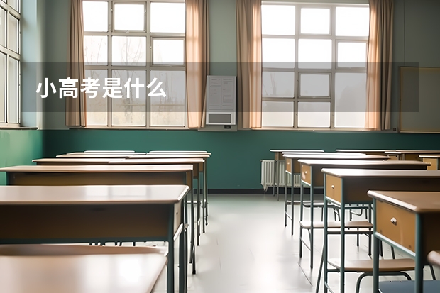 小高考是什么