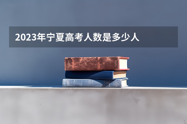 2023年宁夏高考人数是多少人