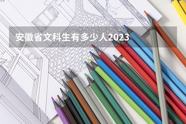 安徽省文科生有多少人2023