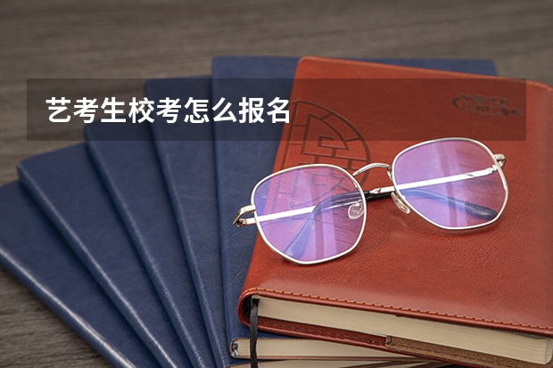 艺考生校考怎么报名