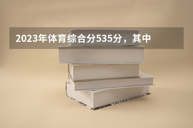 2023年体育综合分535分，其中文化课课295分，可以报哪个学校？