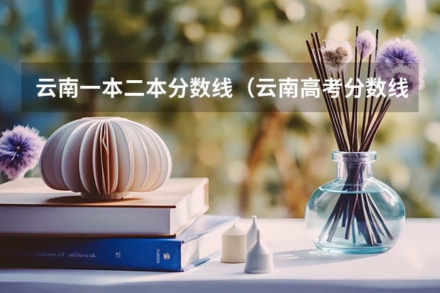云南一本二本分数线(云南高考分数线一分一段)