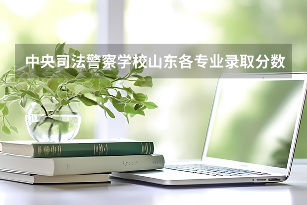 中央司法警察学校山东各专业录取分数(湖南司法警察学院的分数线)