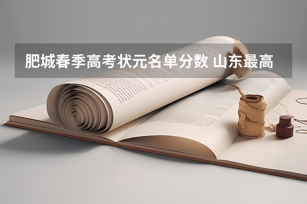 肥城春季高考状元名单分数 山东最高分高考状元