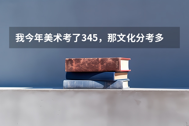 我今年美术考了345,那文化分考多少才能肯定进复旦大学上海视觉艺术学院