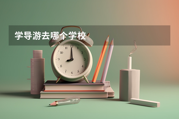 学导游去哪个学校