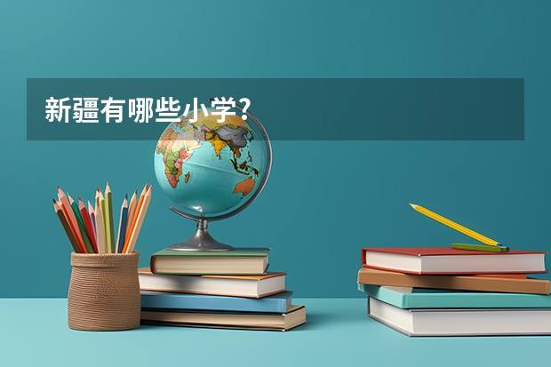 新疆有哪些小学?