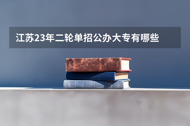 江苏23年二轮单招公办大专有哪些