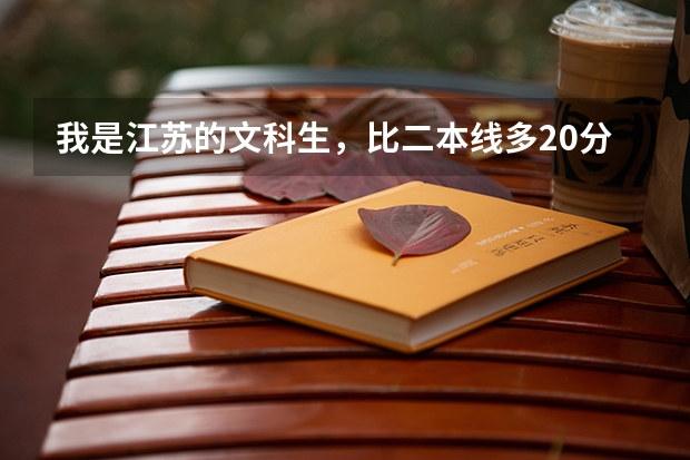 我是江苏的文科生，比二本线多20分，选修bc，能填什么学校？