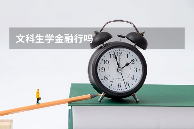 文科生学金融行吗