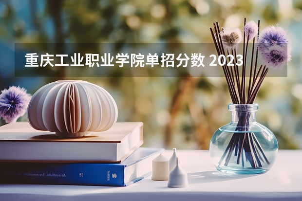重庆工业职业学院单招分数 2023青岛职业技术学院单招录取线在200分左右。