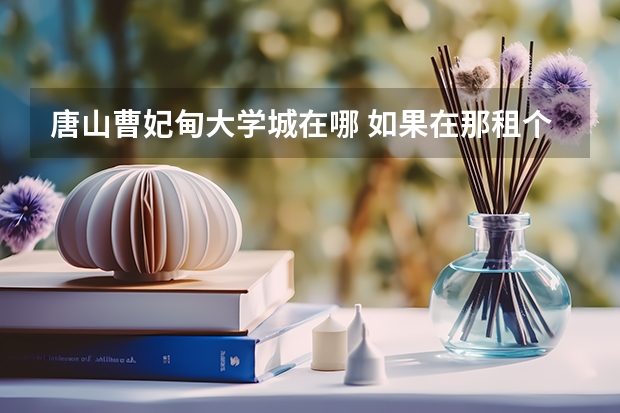 唐山曹妃甸大学城在哪 如果在那租个店大概多少钱？跪求答案