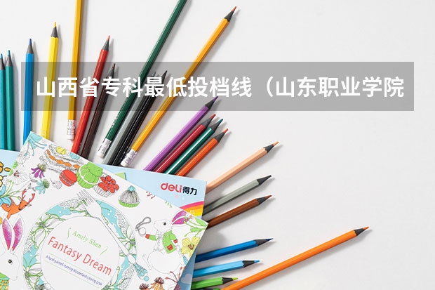 山西省专科最低投档线(山东职业学院录取分数线)