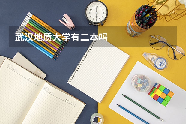 武汉地质大学有二本吗