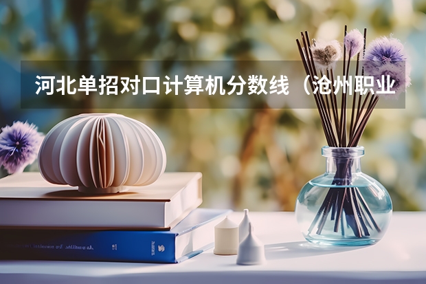 河北单招对口计算机分数线（沧州职业技术学院录取线）