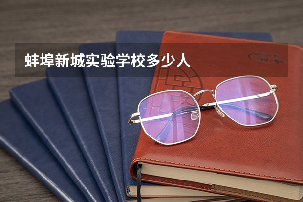 蚌埠新城实验学校多少人