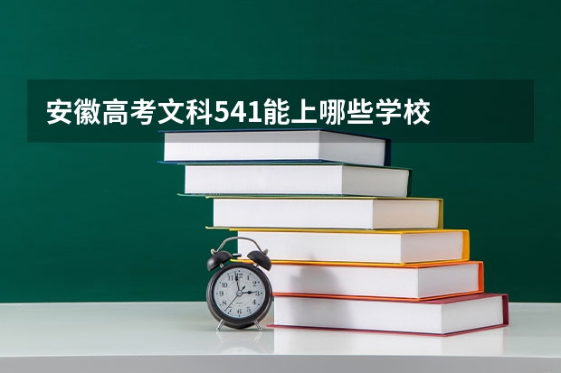 安徽高考文科541能上哪些学校
