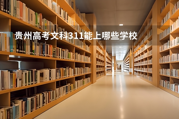 贵州高考文科311能上哪些学校