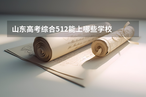 山东高考综合512能上哪些学校