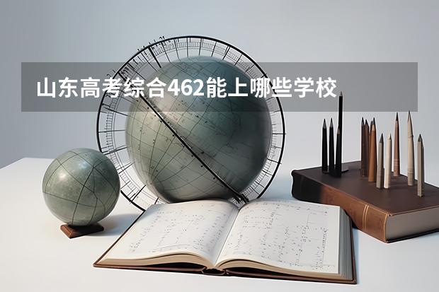 山东高考综合462能上哪些学校
