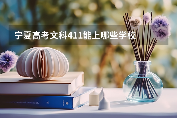 宁夏高考文科411能上哪些学校