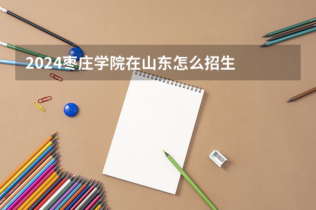 2024枣庄学院在山东怎么招生