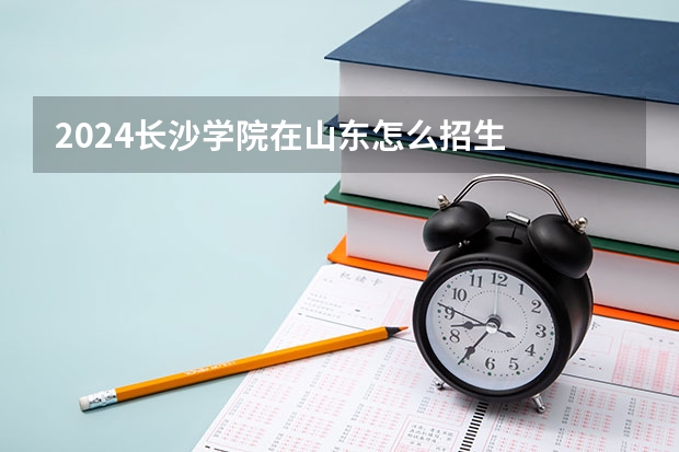 2024长沙学院在山东怎么招生