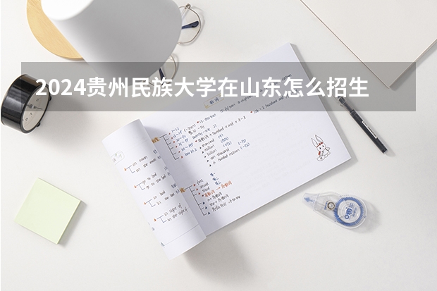 2024贵州民族大学在山东怎么招生