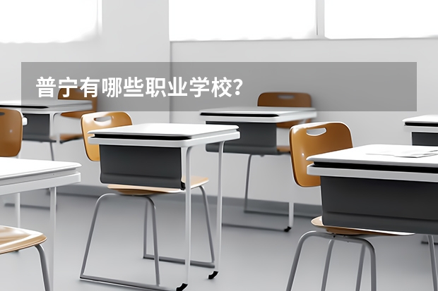 普宁有哪些职业学校?