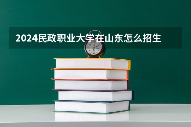 2024民政职业大学在山东怎么招生