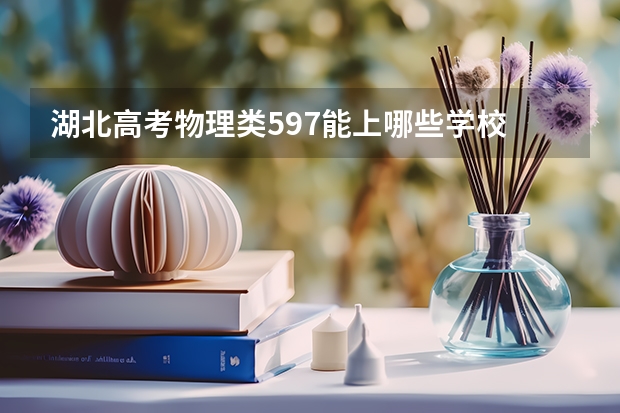 湖北高考物理类597能上哪些学校