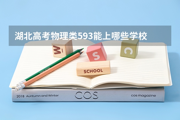 湖北高考物理类593能上哪些学校