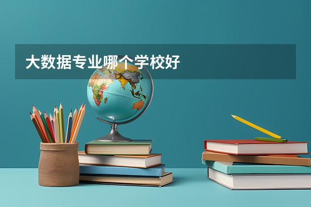 大数据专业哪个学校好