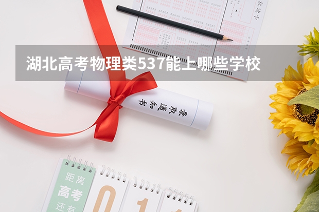 湖北高考物理类537能上哪些学校