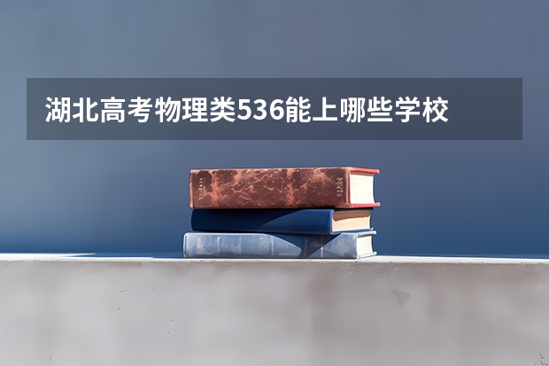 湖北高考物理类536能上哪些学校