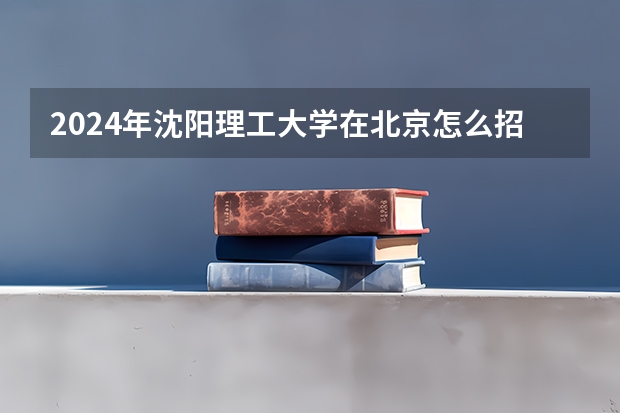2024年沈阳理工大学在北京怎么招生