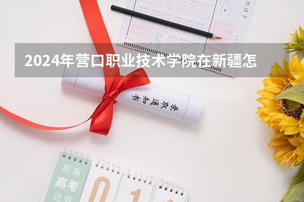 2024年营口职业技术学院在新疆怎么招生