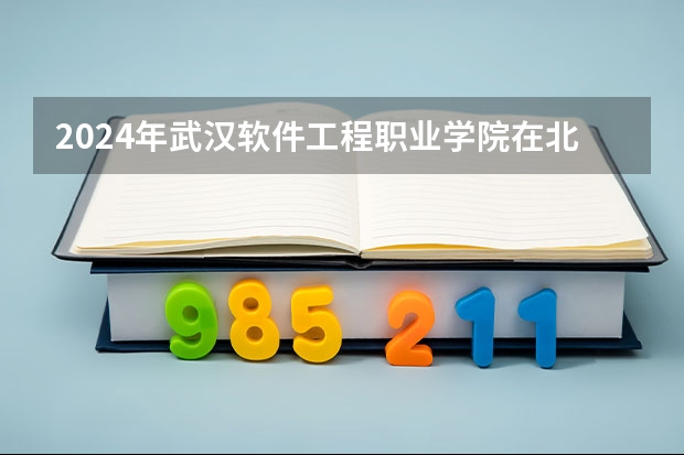 2024年武汉软件工程职业学院在北京怎么招生