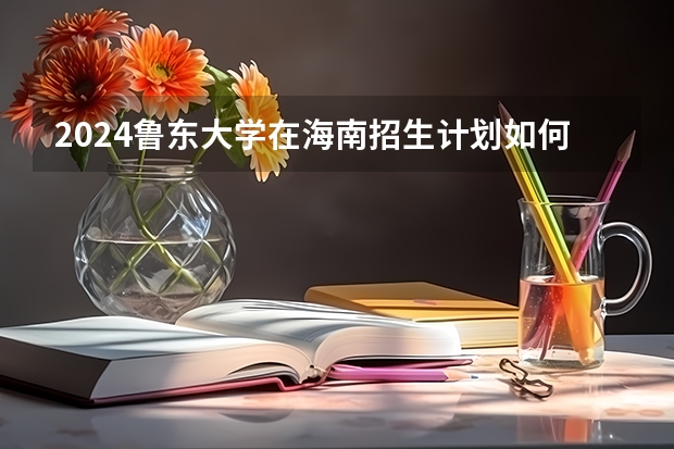 2024鲁东大学在海南招生计划如何
