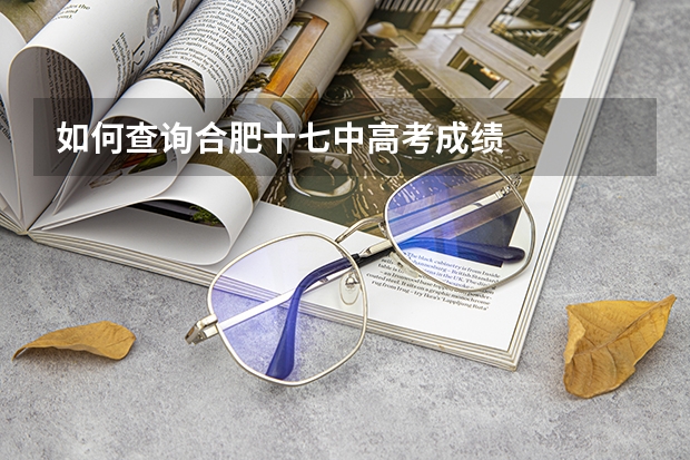如何查询合肥十七中高考成绩