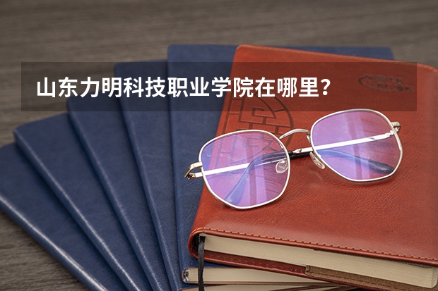 山东力明科技职业学院在哪里？