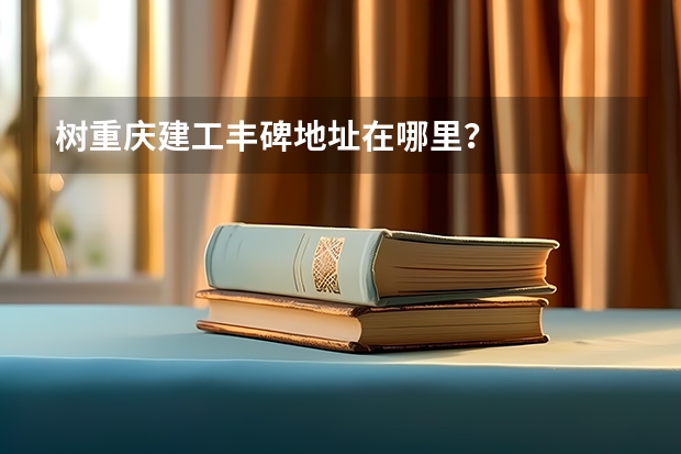 树重庆建工丰碑地址在哪里?
