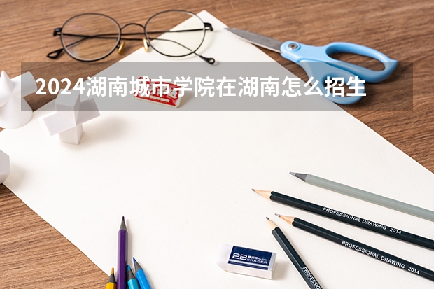 2024湖南城市学院在湖南怎么招生的