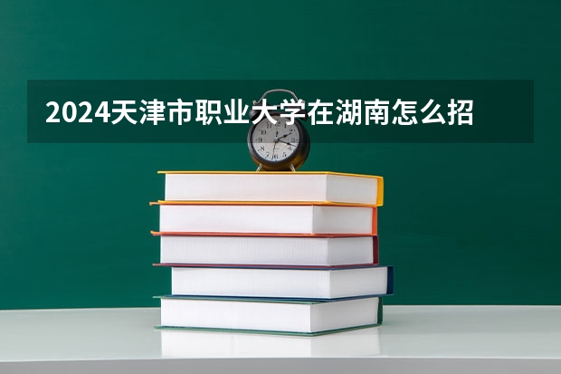 2024天津市职业大学在湖南怎么招生的