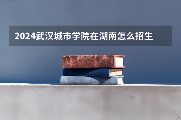 2024武汉城市学院在湖南怎么招生的