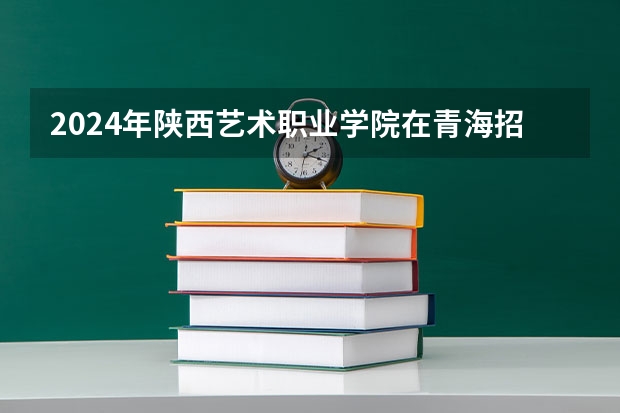 2024年陕西艺术职业学院在青海招生情况