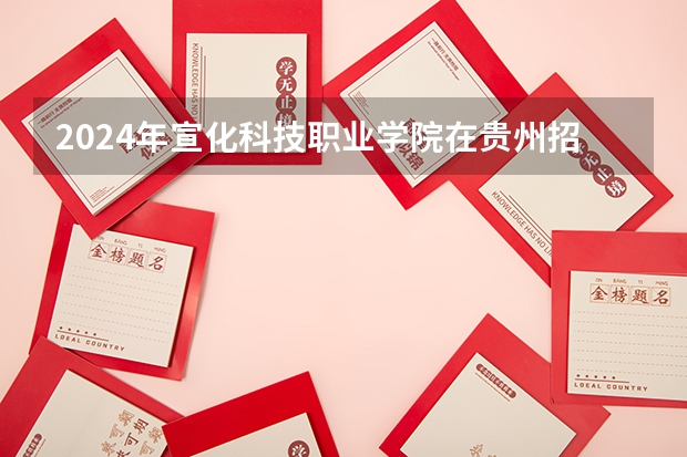 2024年宣化科技职业学院在贵州招生情况
