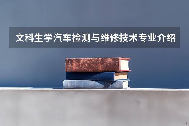 文科生学汽车检测与维修技术专业介绍怎么样?困难多么