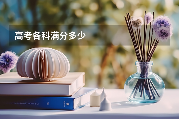 高考各科满分多少